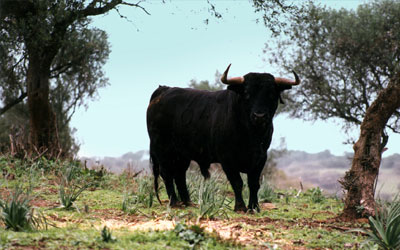 dehesa-lacalderona